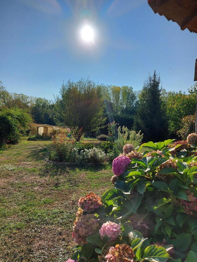 Le Moulin De L'Etang Otel Chaneins Dış mekan fotoğraf