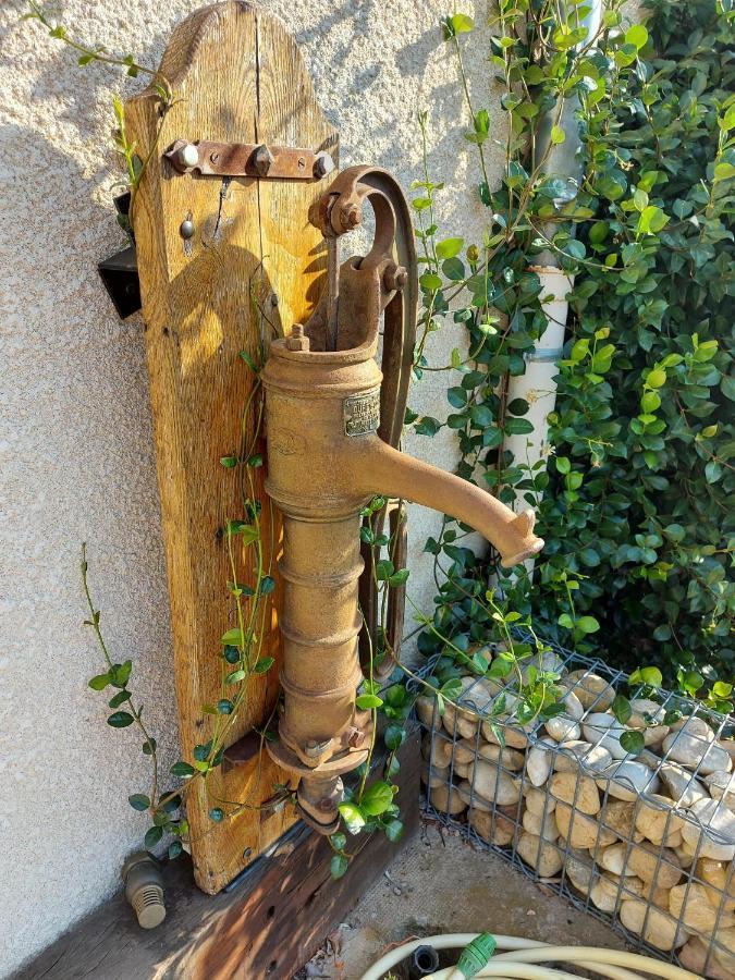 Le Moulin De L'Etang Otel Chaneins Dış mekan fotoğraf