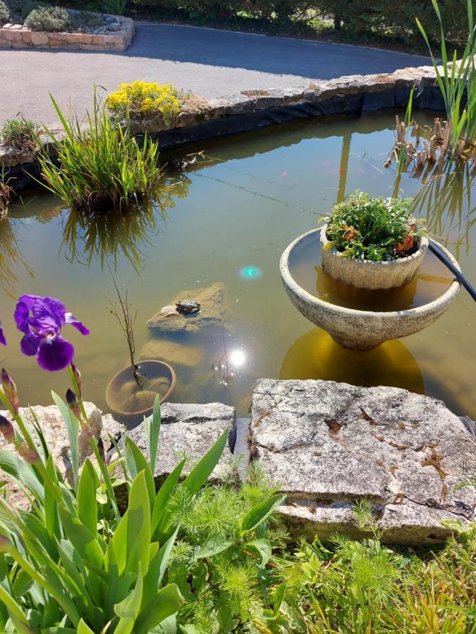 Le Moulin De L'Etang Otel Chaneins Dış mekan fotoğraf