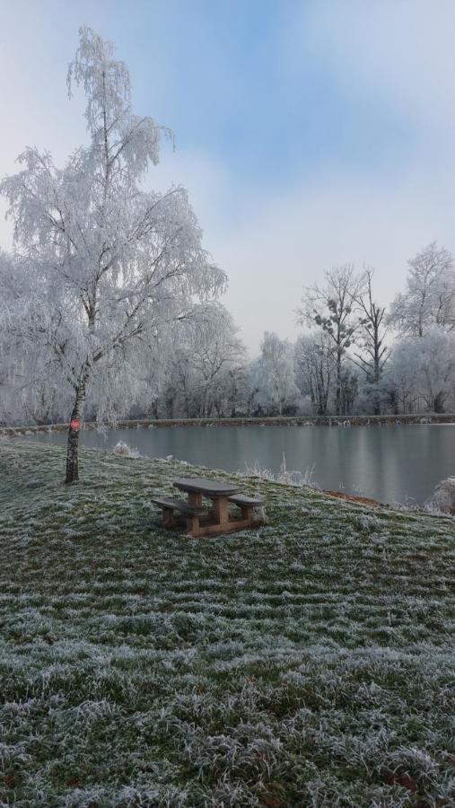 Le Moulin De L'Etang Otel Chaneins Dış mekan fotoğraf