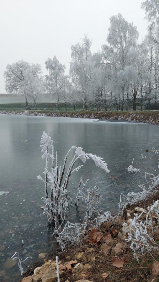 Le Moulin De L'Etang Otel Chaneins Dış mekan fotoğraf